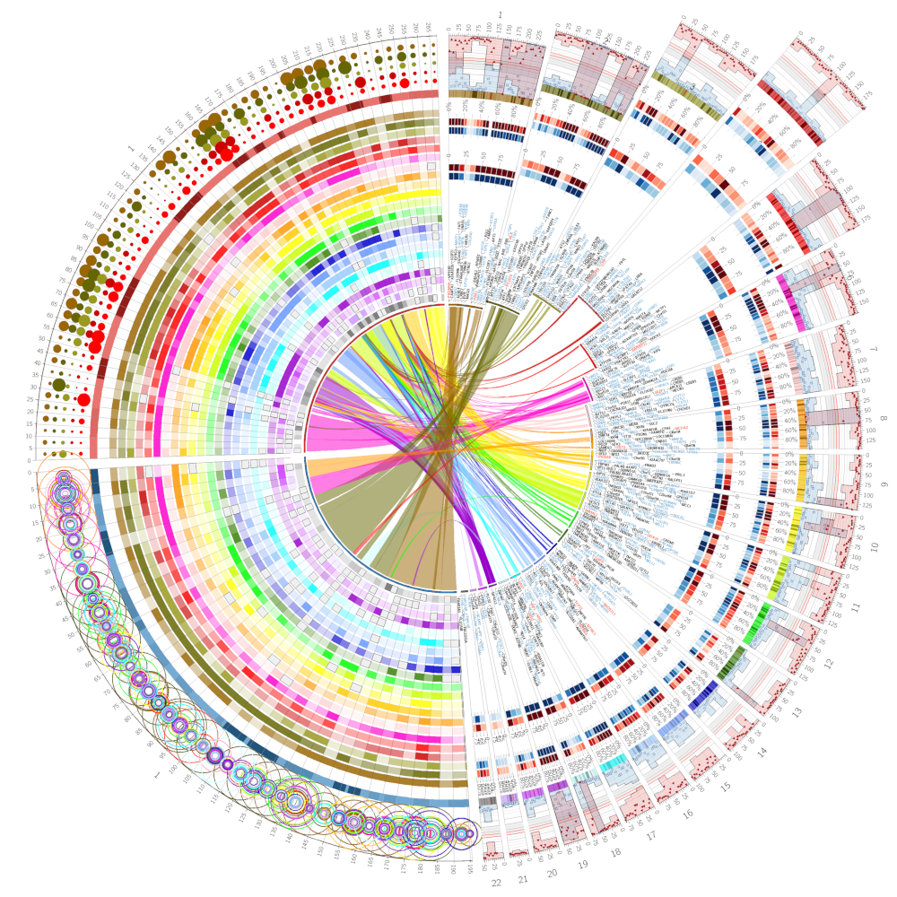 the circos example output figure
